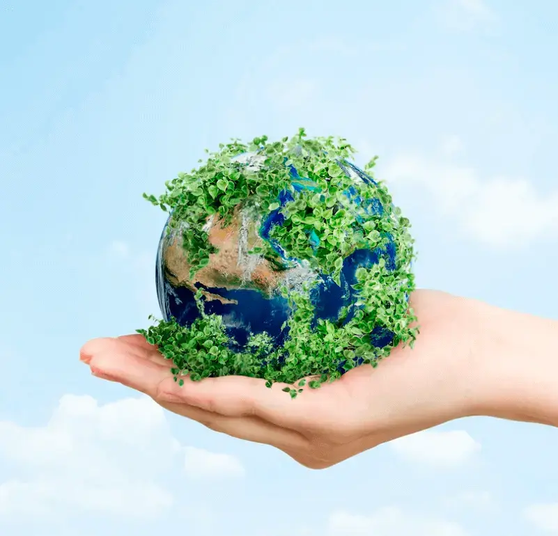 Carbono Neutro y Empresa BIC